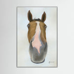 Nosy Pony© 'Faugheen' Canvas Print