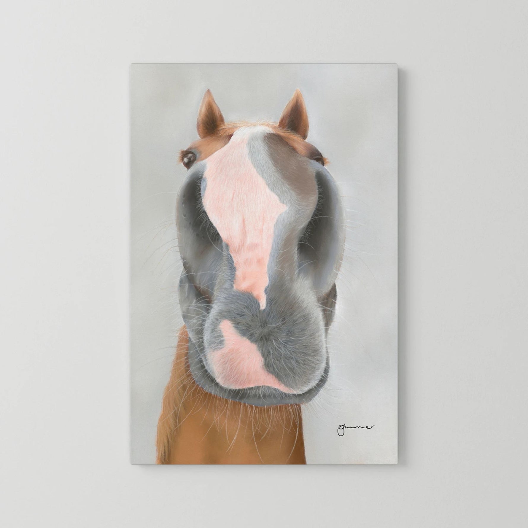 Nosy Pony© 'Native River' Canvas Print