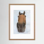 Framed Nosy Pony© Thistlecrack Print