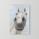 Nosy Pony© 'Desert Orchid' Canvas Print