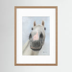 Framed Nosy Pony© Desert Orchid Print