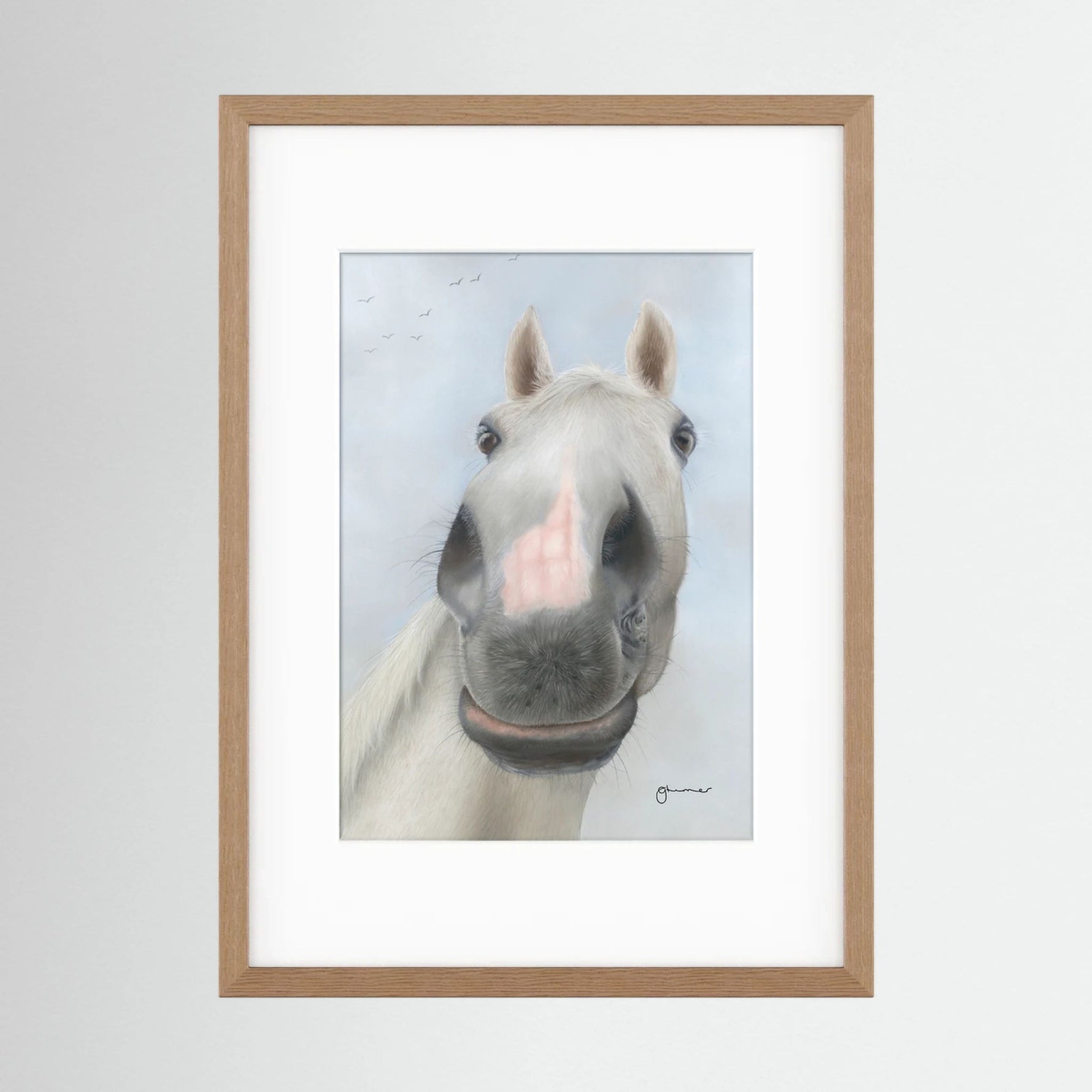 Framed Nosy Pony© Desert Orchid Print