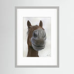 Framed Nosy Pony© Sprinter Sacre Print
