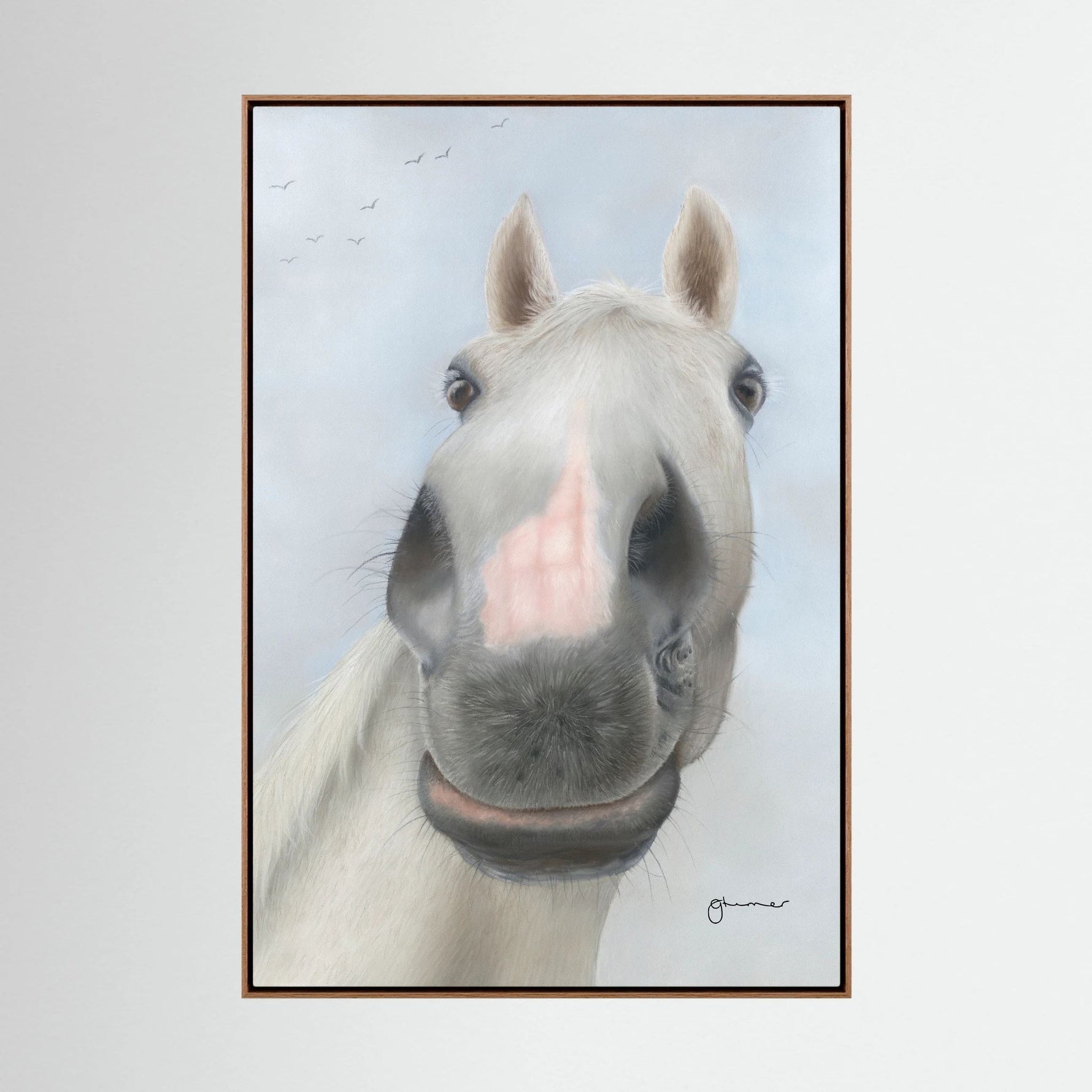 Nosy Pony© 'Desert Orchid' Canvas Print