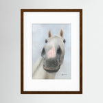 Framed Nosy Pony© Desert Orchid Print