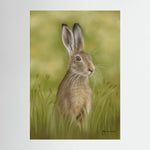Hare In The Grass Print