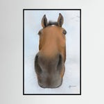 Nosy Pony© 'Thistlecrack' Canvas Print