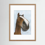 Framed Nosy Pony© Kauto Star Print