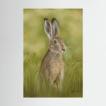 Hare Canvas Print