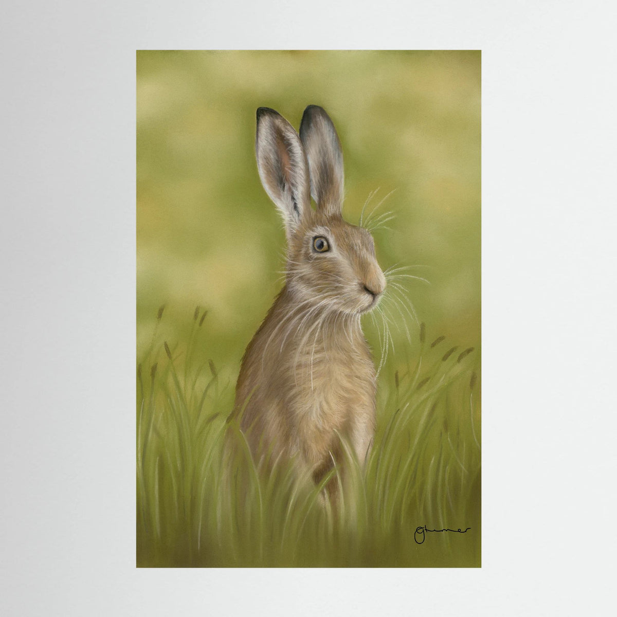 Hare Canvas Print