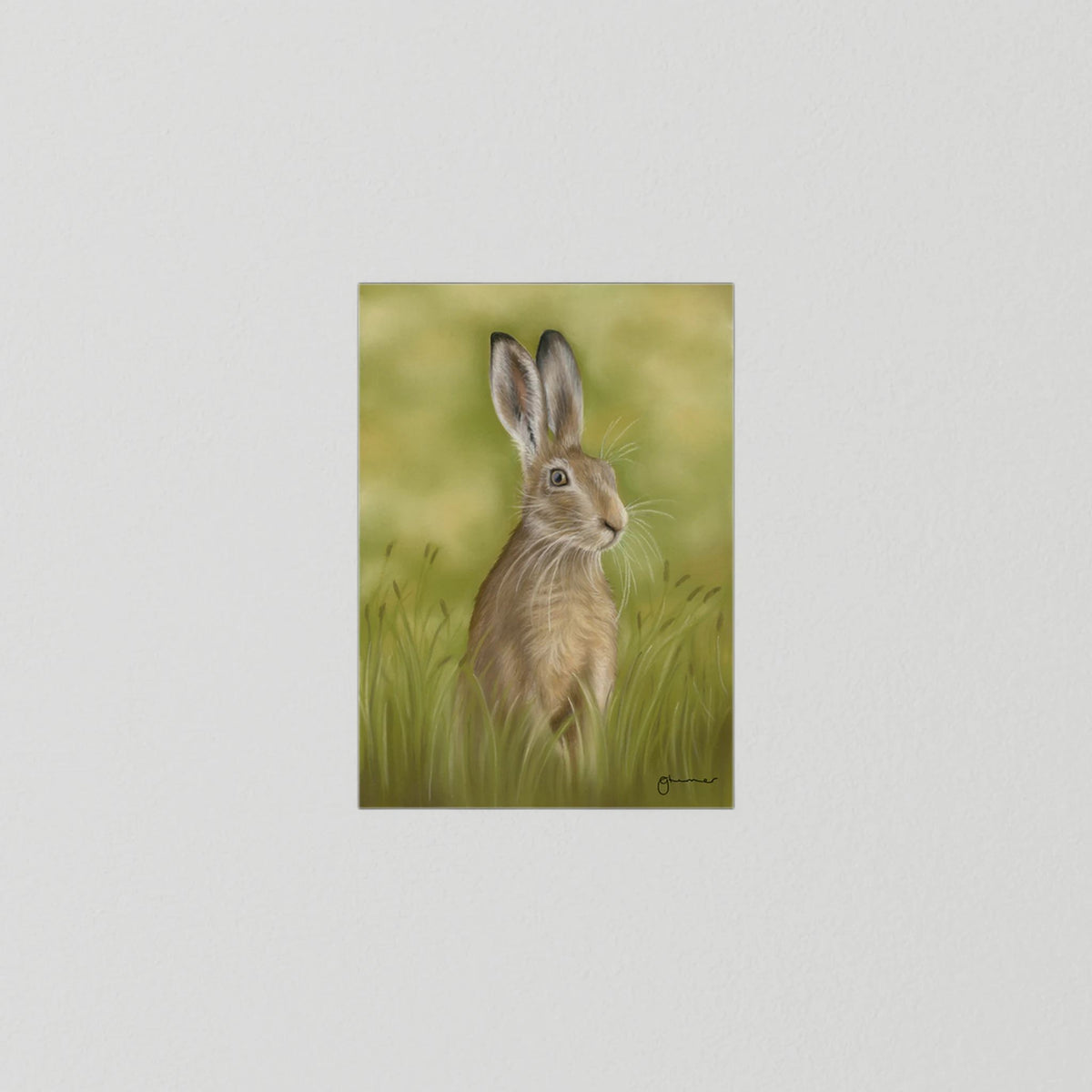 Hare In The Grass Print