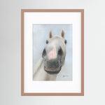 Framed Nosy Pony© Desert Orchid Print