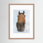 Framed Nosy Pony© Thistlecrack Print