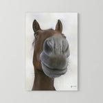 Nosy Pony© 'Sprinter Sacre' Canvas Print