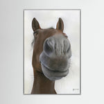 Nosy Pony© 'Sprinter Sacre' Canvas Print