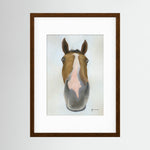 Framed Nosy Pony© Faugheen Print