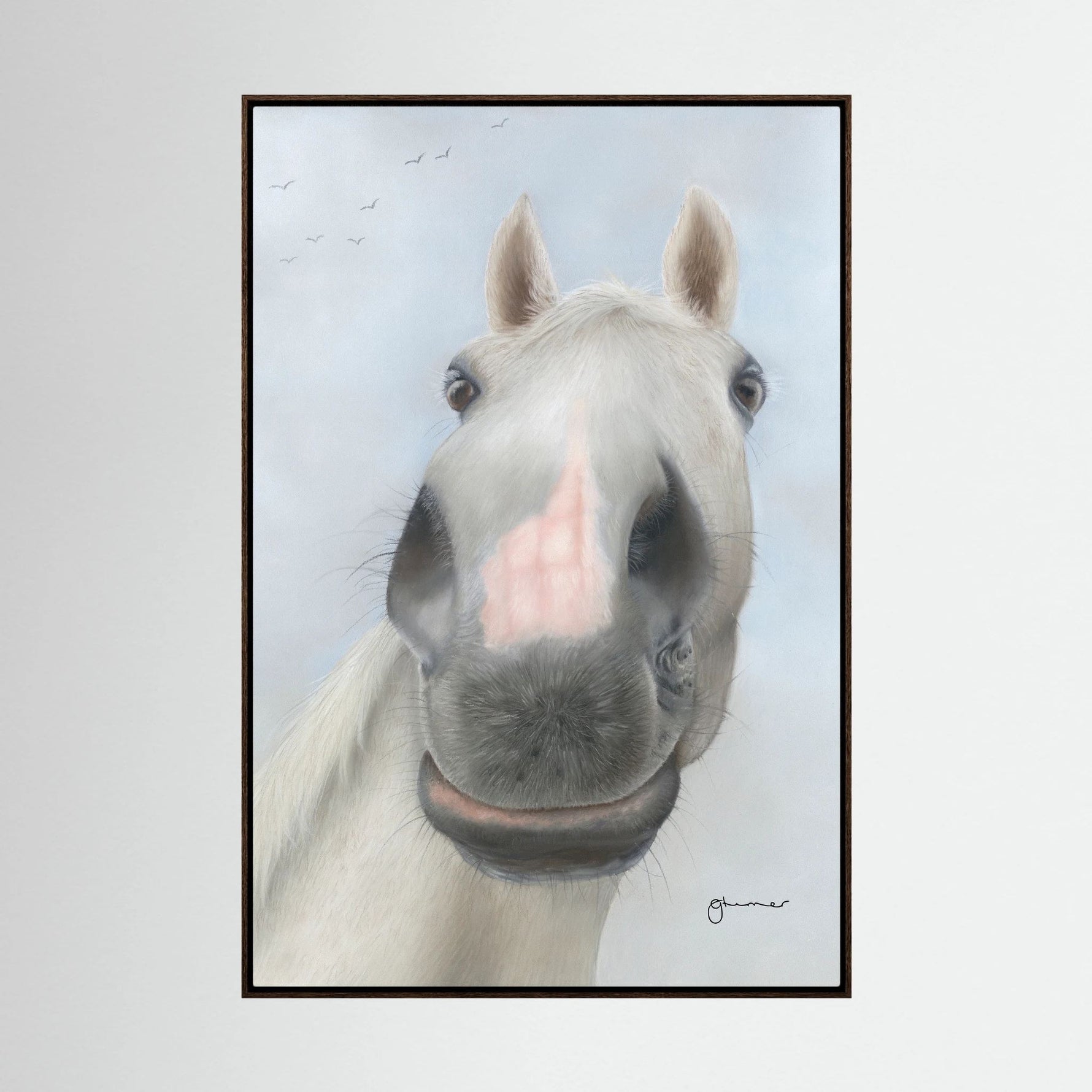 Nosy Pony© 'Desert Orchid' Canvas Print