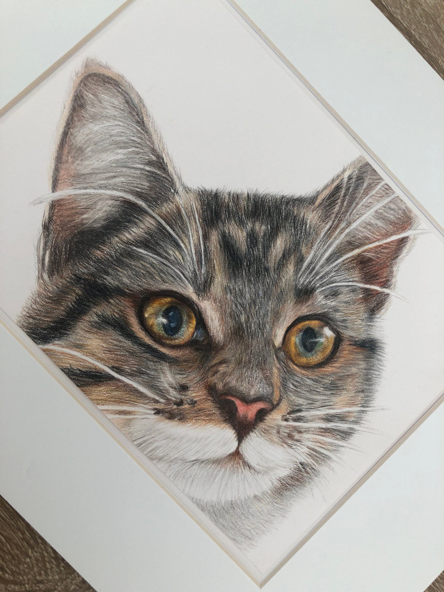 Tabby Kitten Fine Art Pet Portrait Print