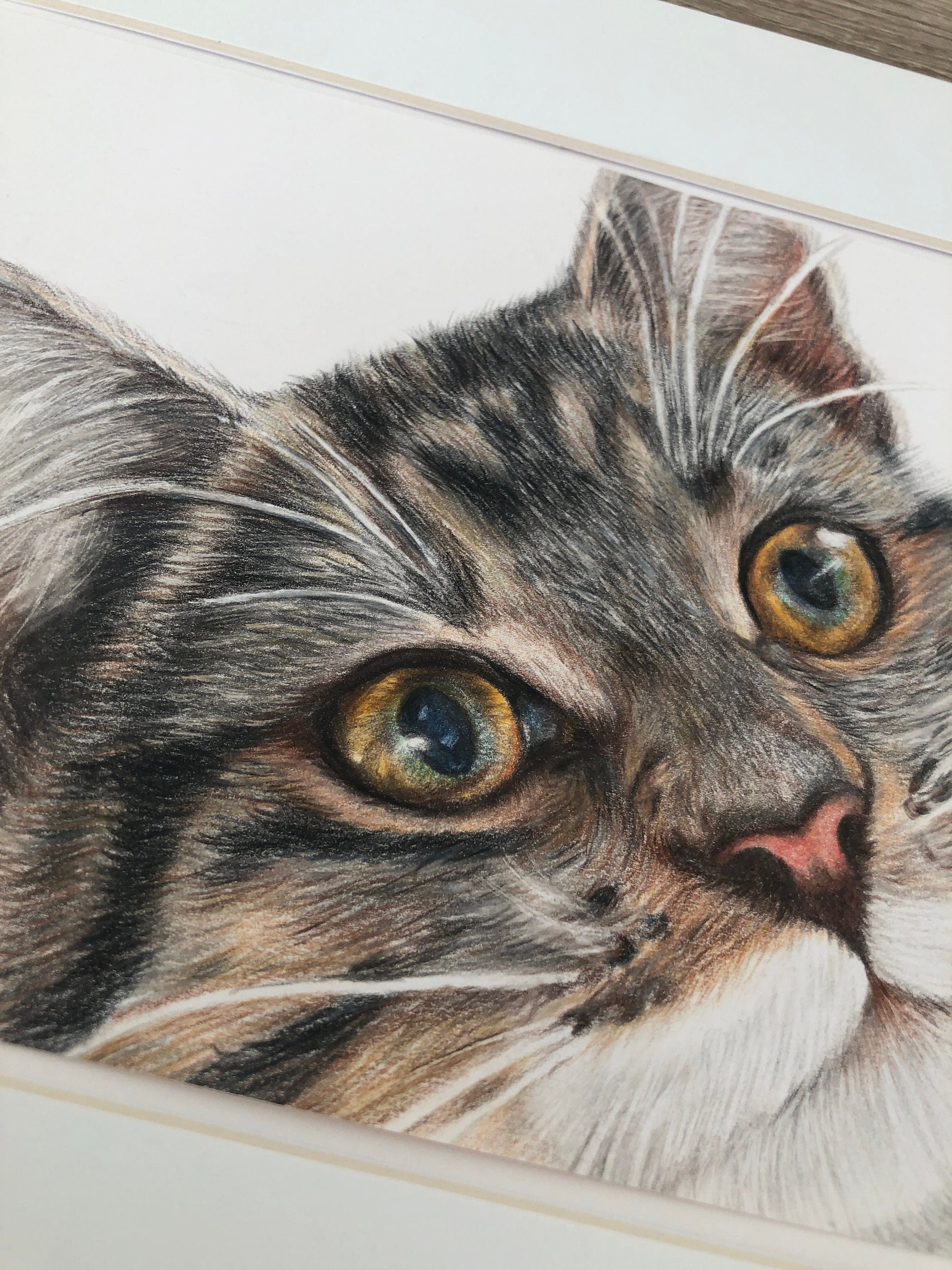 Tabby Kitten Close up - Fine Art Print