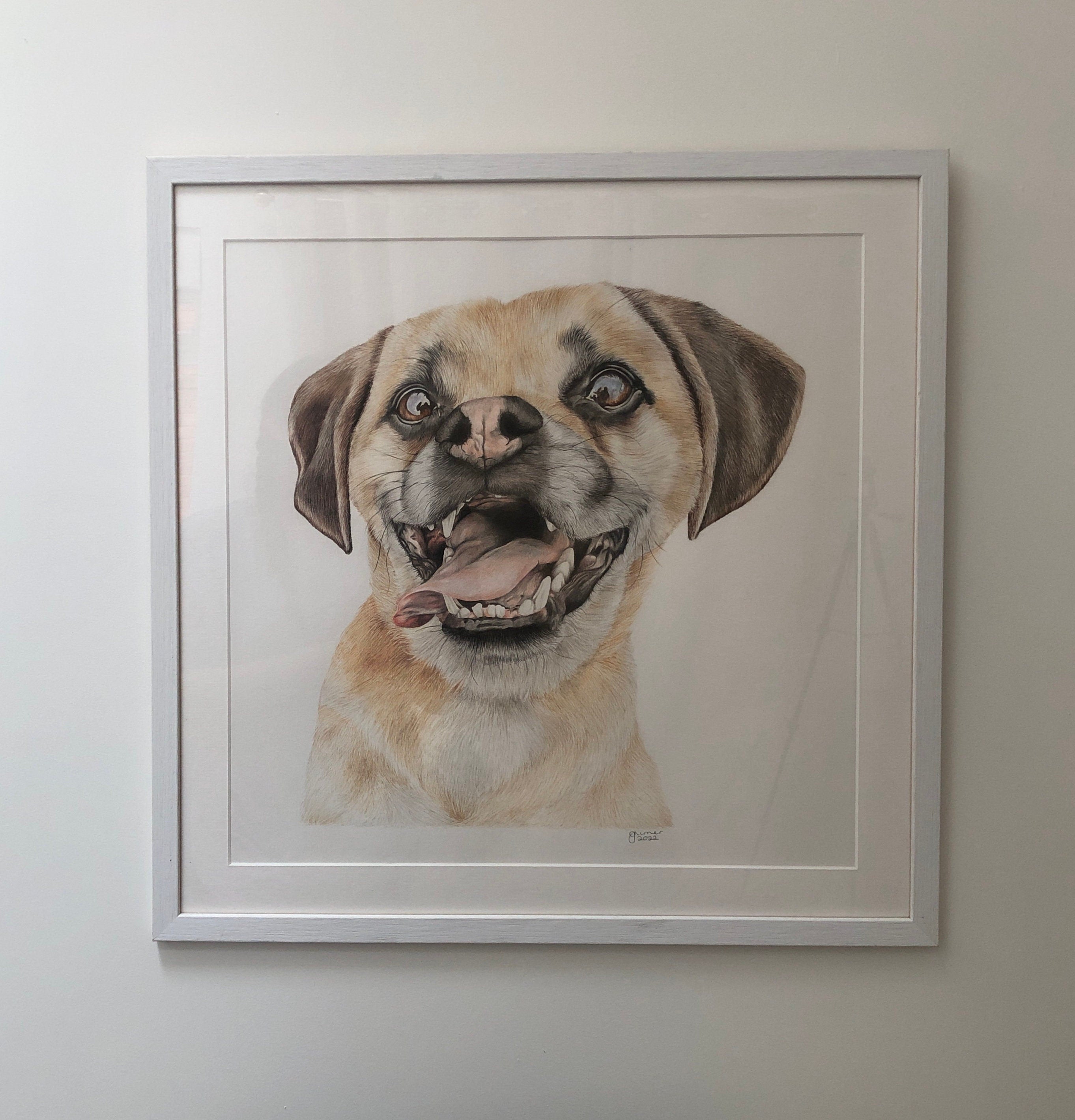 Puppy portrait - colored pencil drawing | Собачки